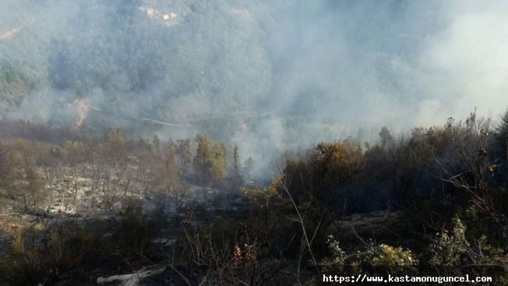 Küre'deki orman yangınında 2 dönüm alan zarar gördü