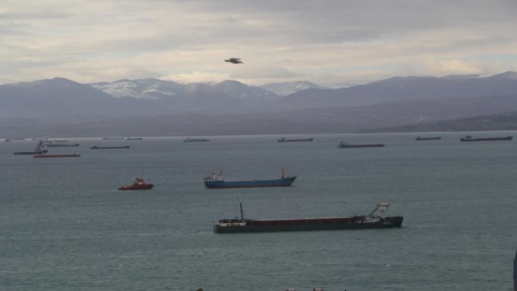 Dev dalgalardan kaçan gemiler Sinop'un doğal limanına sığındı