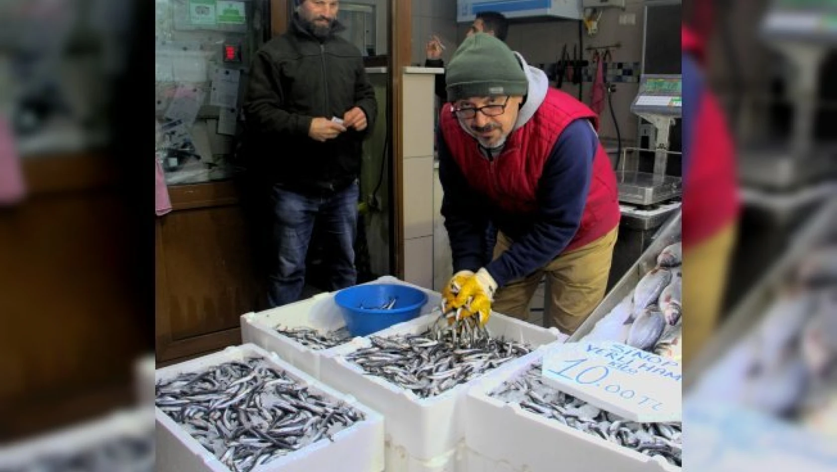 Karadenizli balıkçılara 'yerli hamsi' sürprizi