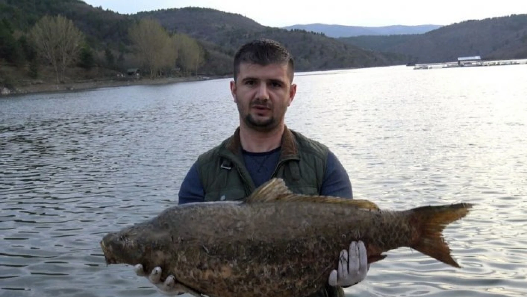 Kastamonu'da barajdaki toplu balık ölümleri korkuttu