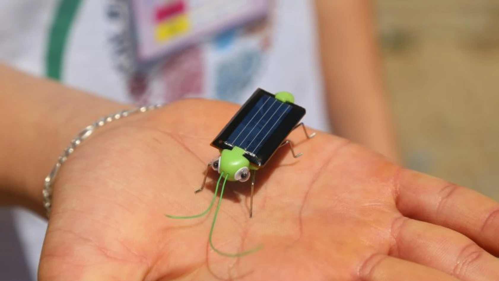Alternatif enerjiyi 'robot cırcır böceği' ile anlatıyorlar