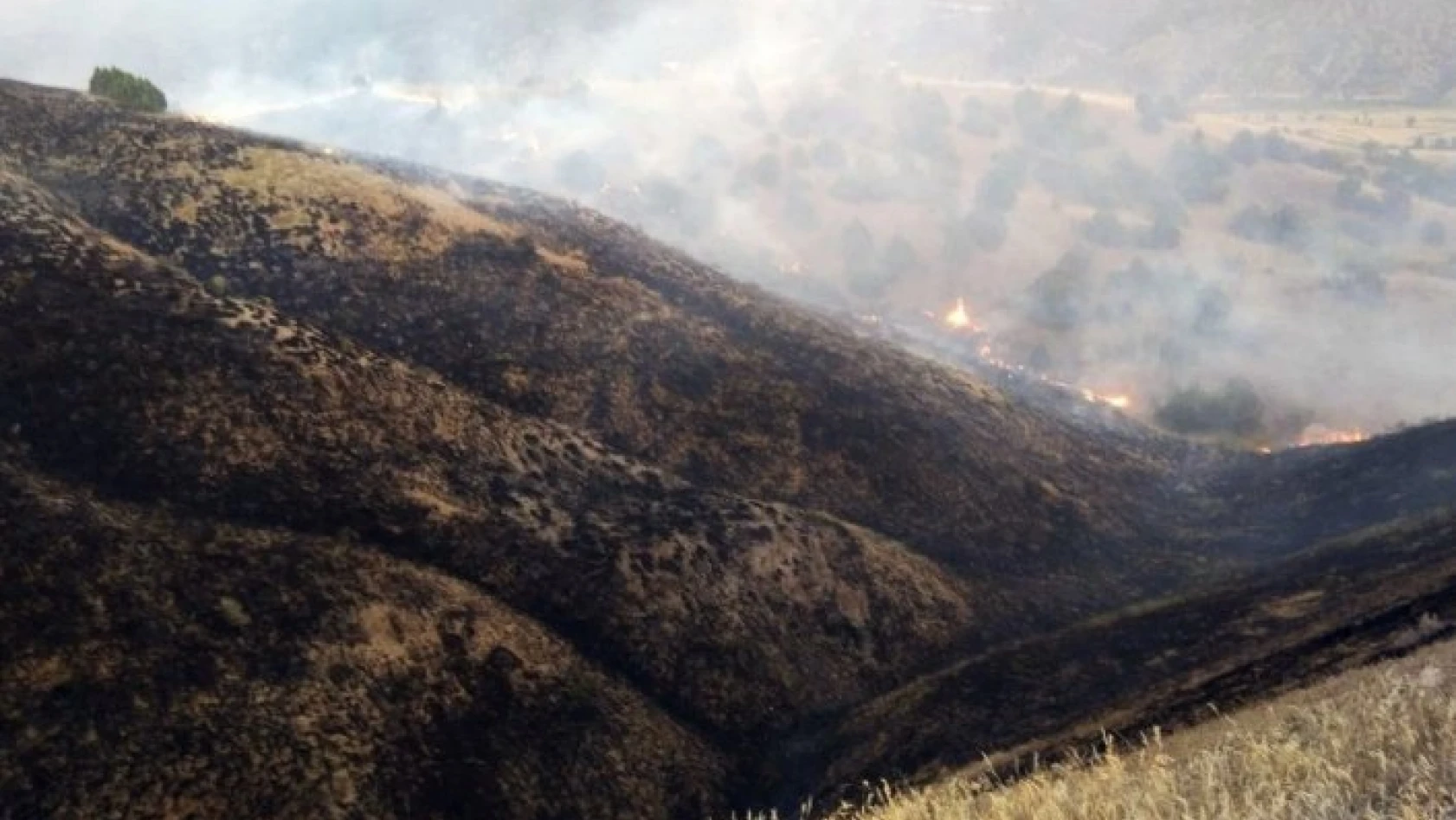 Tosya'da tarım arazisindeki yangında 100 dönüm alan kül oldu