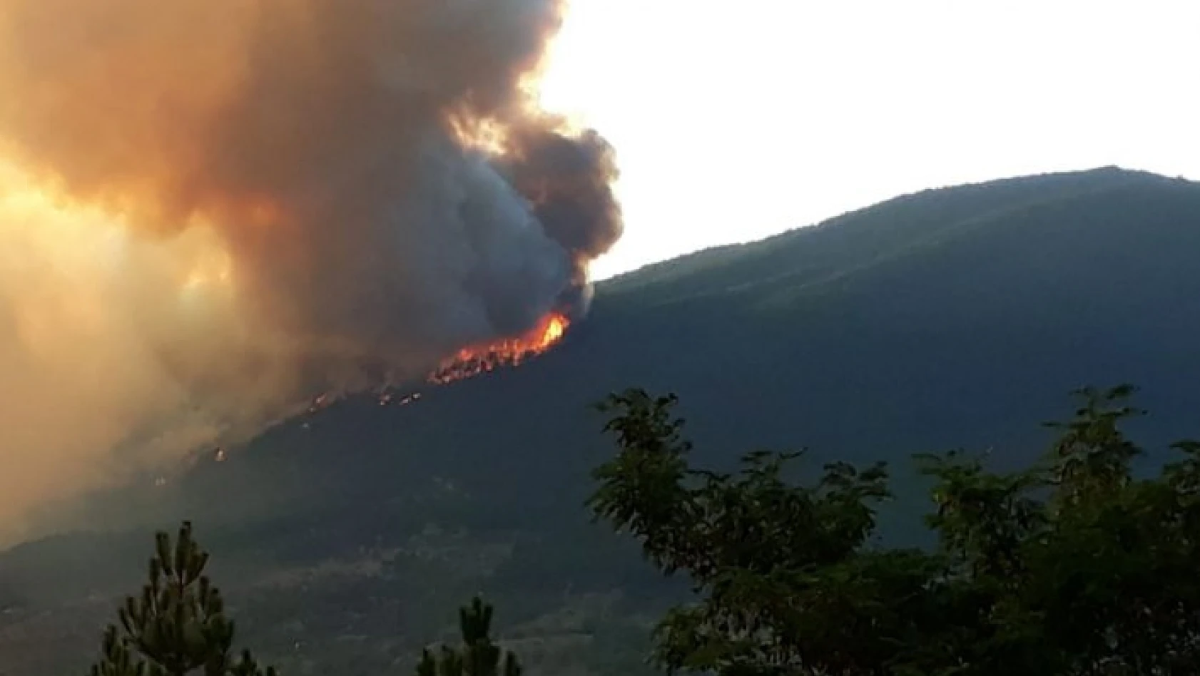 Kastamonu'da orman yangını meydana geldi