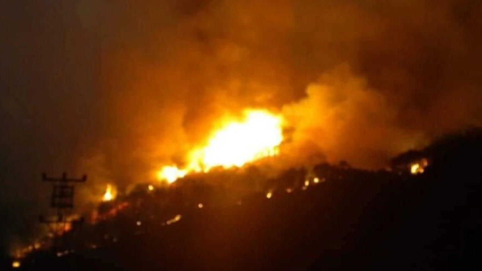 Kastamonu'da ormanlık alanda çıkan yangın devam ediyor