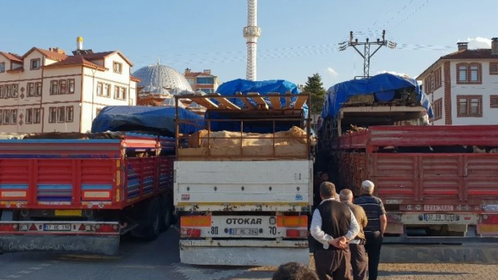 Kastamonu'dan 8 tır dolusu kurbanlık, İstanbul'a gönderildi
