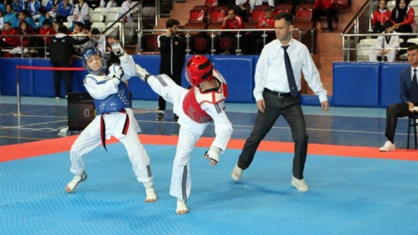 ANALİG Taekwondo Yarı Final Müsabakaları sona erdi