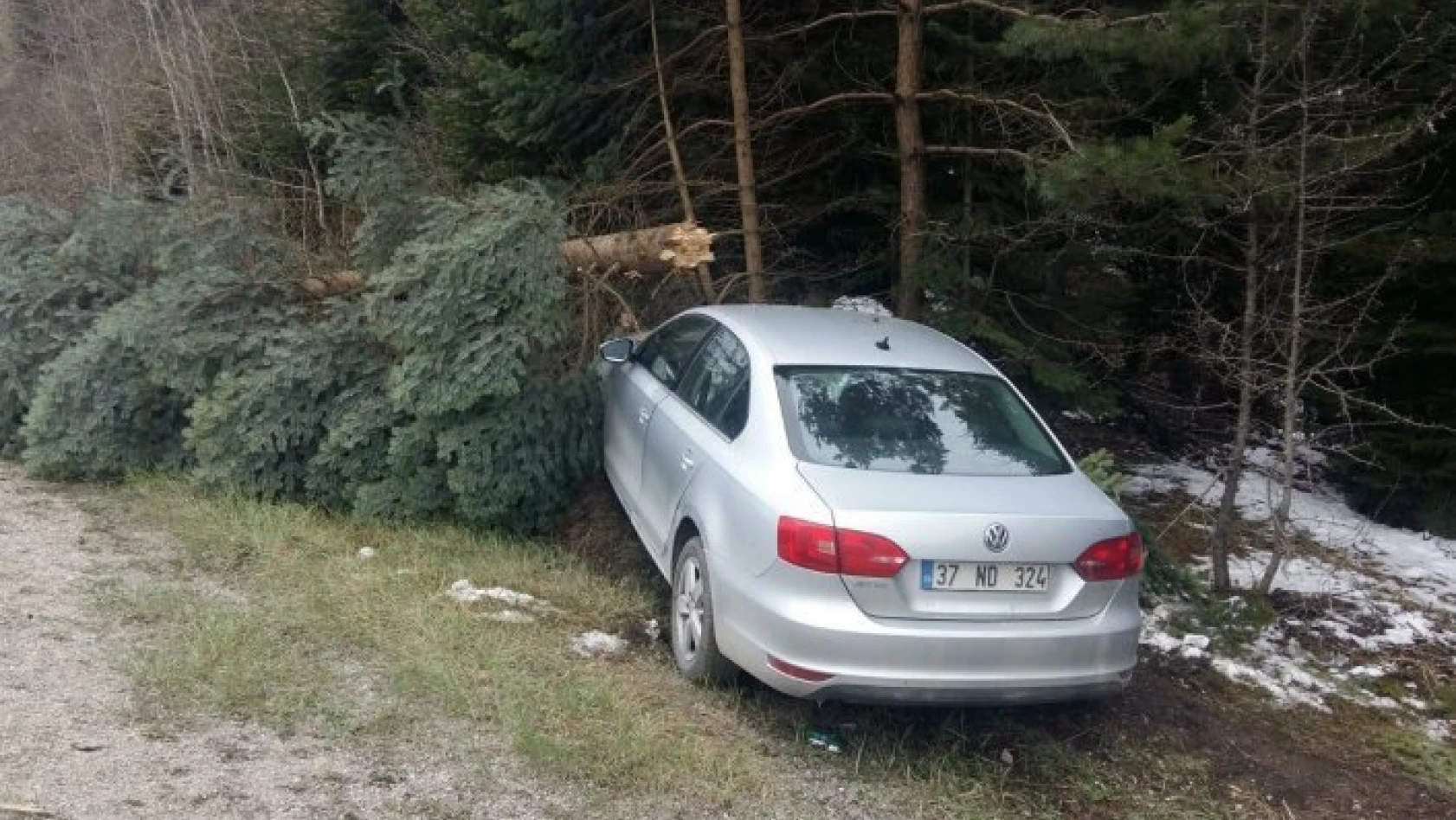 Yoldan çıkan otomobil ağaca çarptı: 3 yaralı