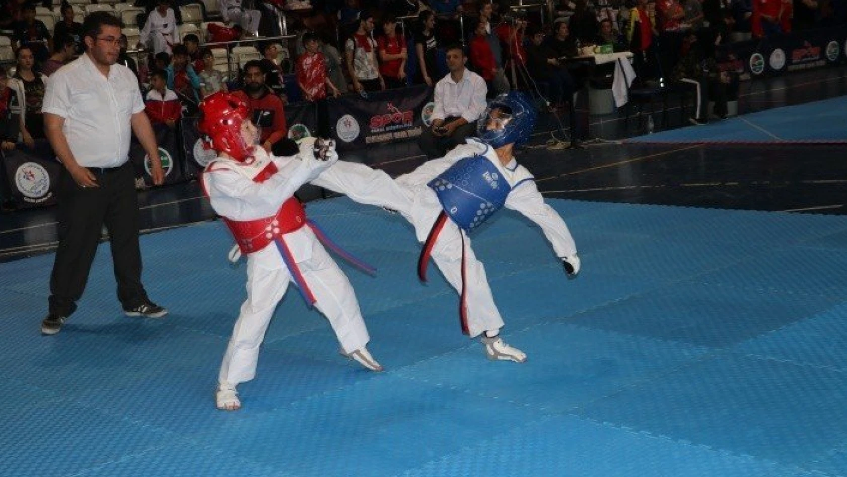 19 Mayıs İllerarası Gençlik Taekwondo Şampiyonası sona erdi