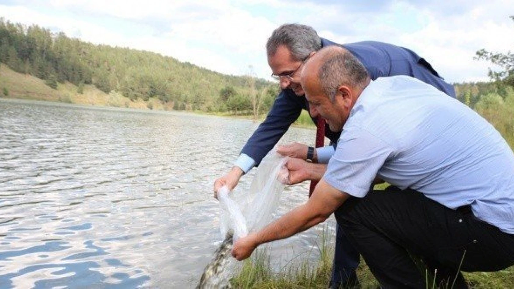 Tosya'da gölete balık yavrusu bırakıldı