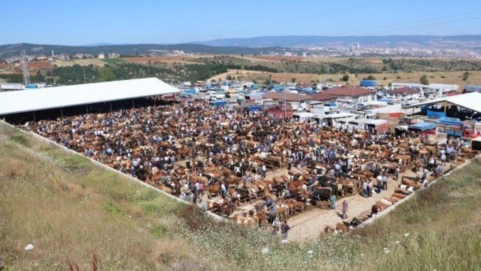 Kastamonu'daki hayvan pazarında bayram yoğunluğu