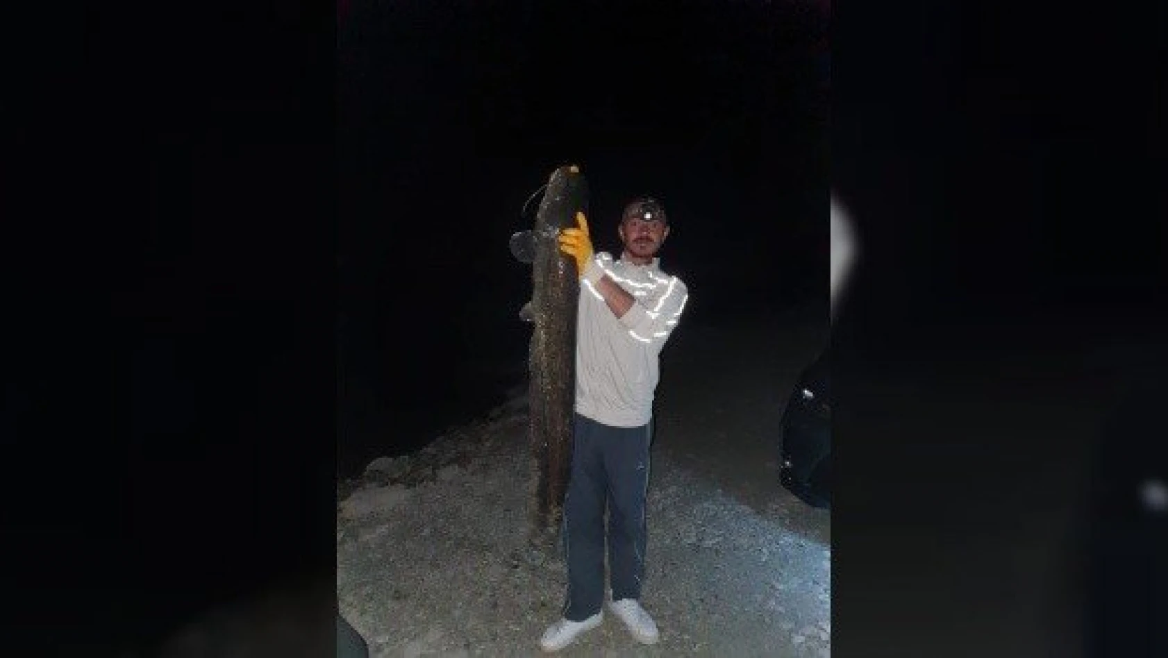 Kastamonu'da 1,2 metrelik yayın balığı yakalandı