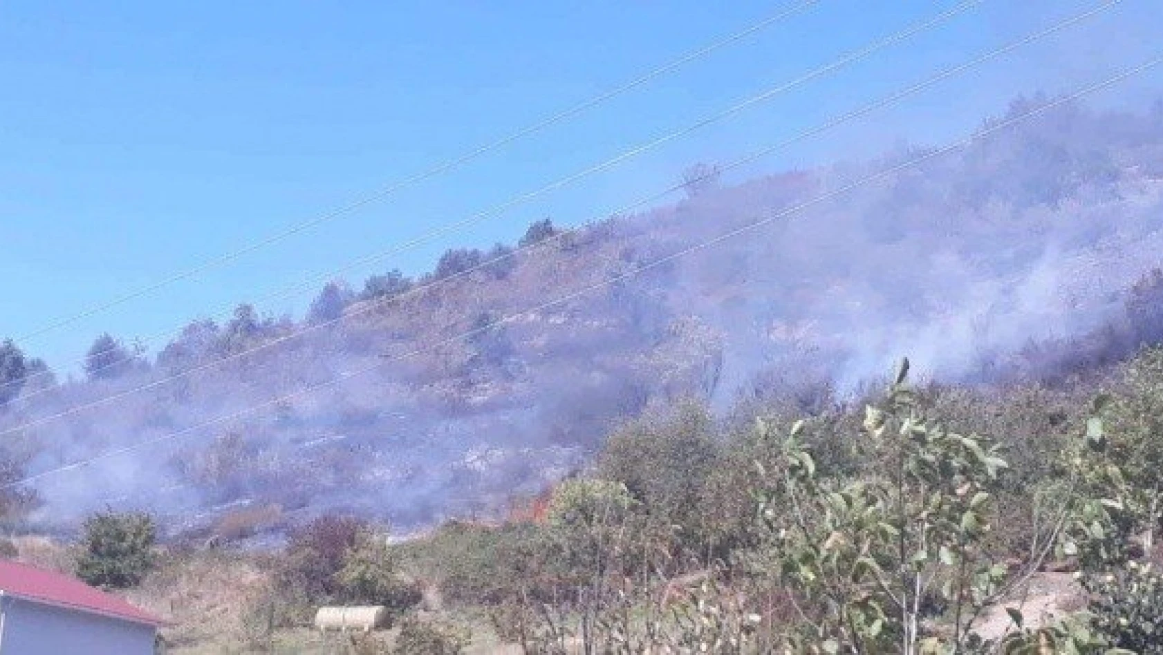 Kastamonu'da ormanlık alanda yangın çıktı