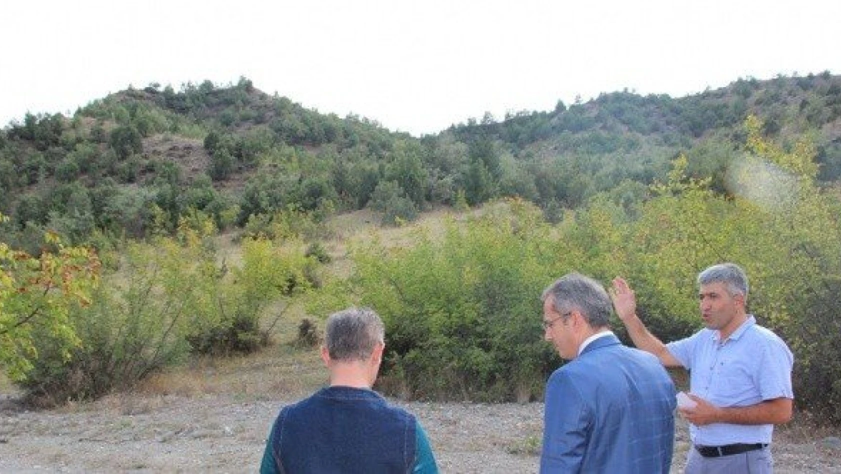Tosya'da bal ormanı oluşturulacak