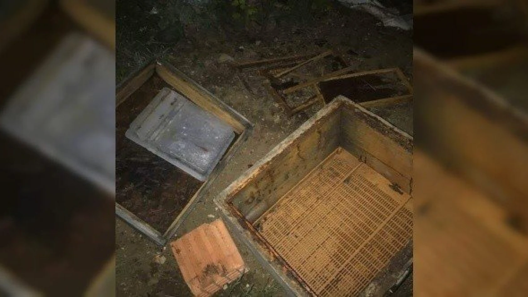 Kastamonu'da ilçeye kadar inen ayı, 10 arı kovanını parçaladı