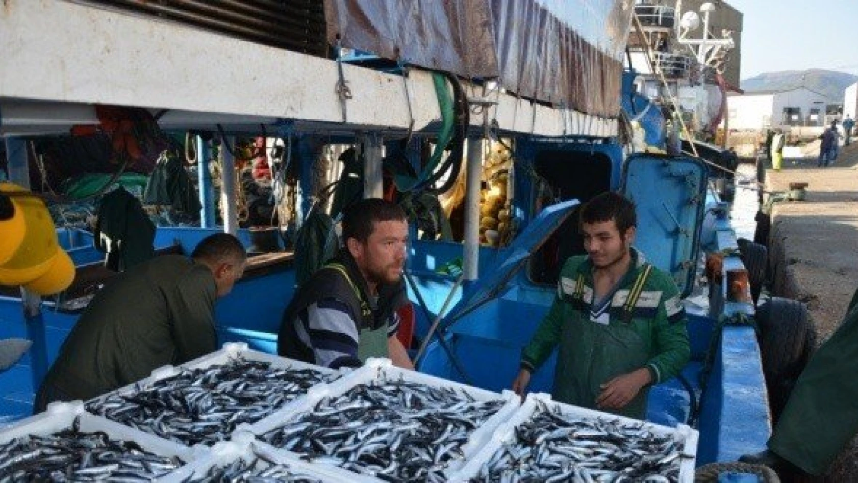 Kastamonu'da Karadeniz'e açılan balıkçılar tonlarca hamsiyle döndü