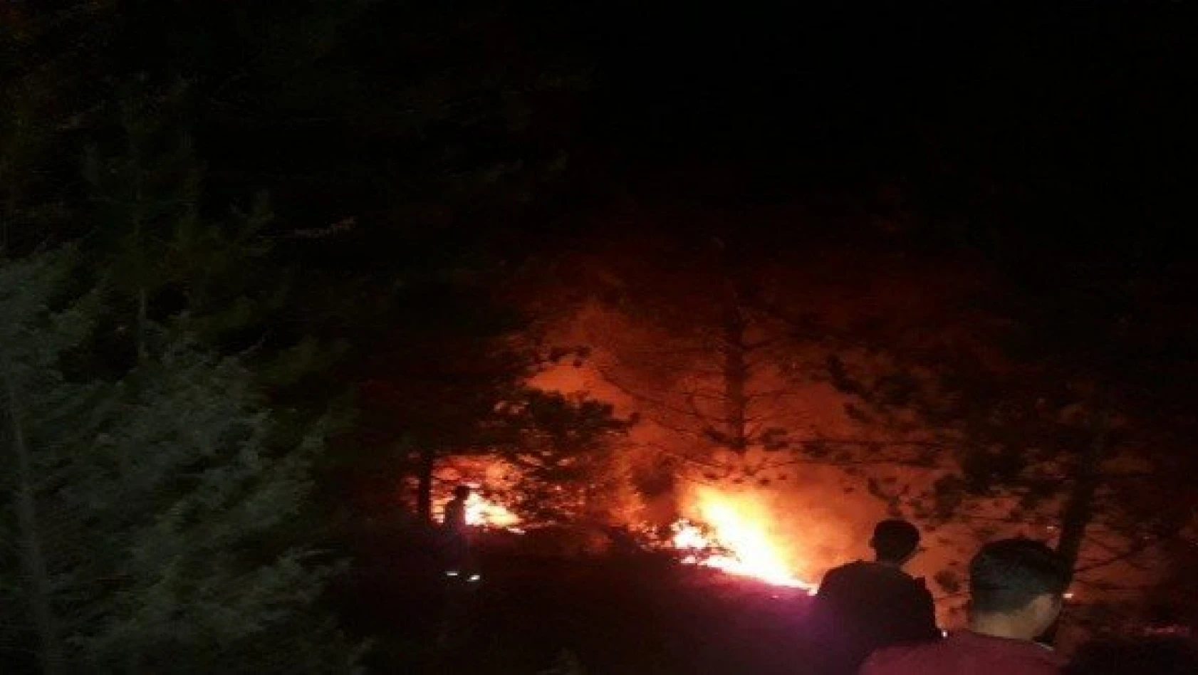 Tosya'daki yangında 2 dekar alan zarar gördü