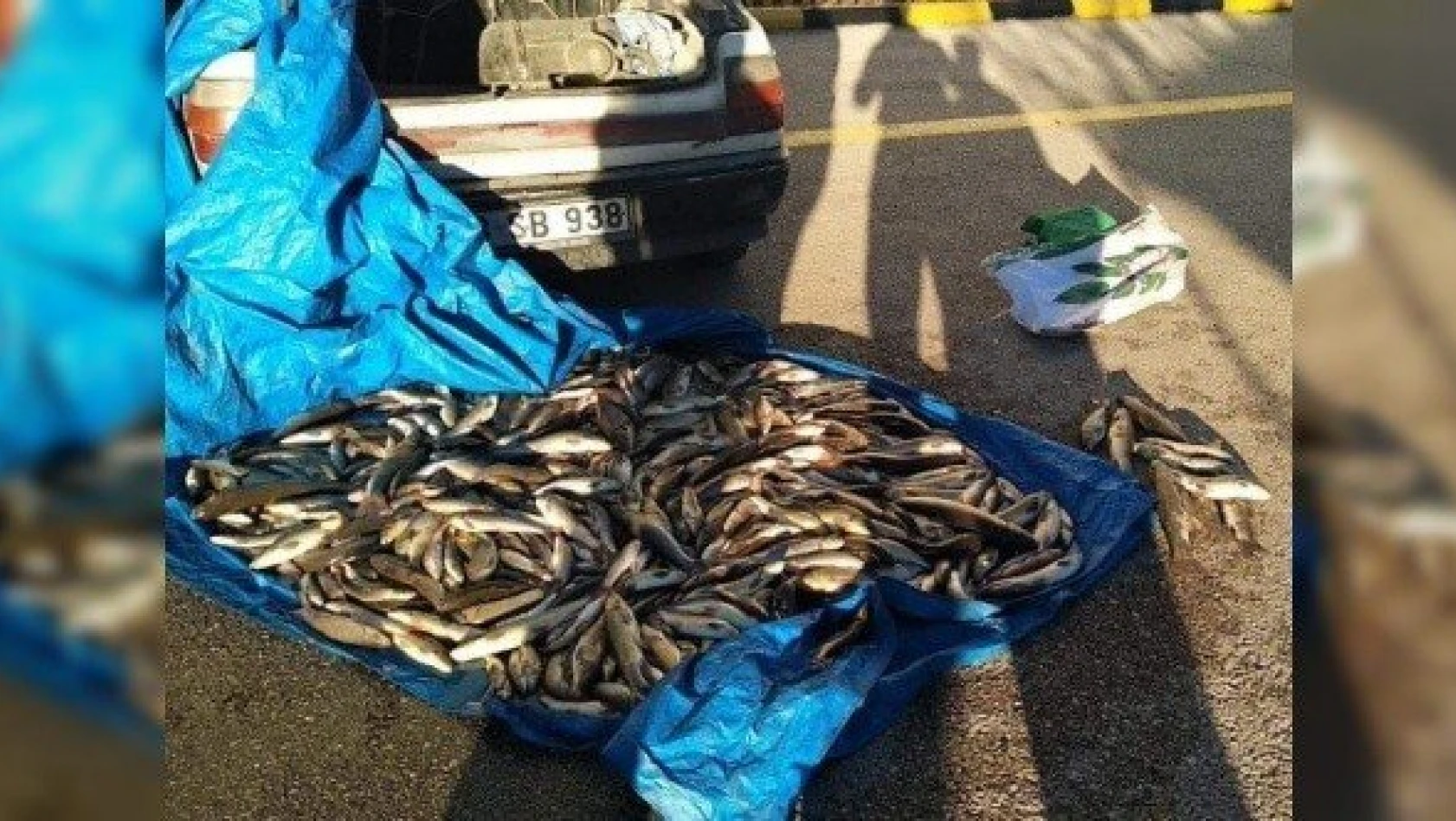 Kastamonu'da &quottırıvırı" ile balık avlayan 8 kişi yakalandı