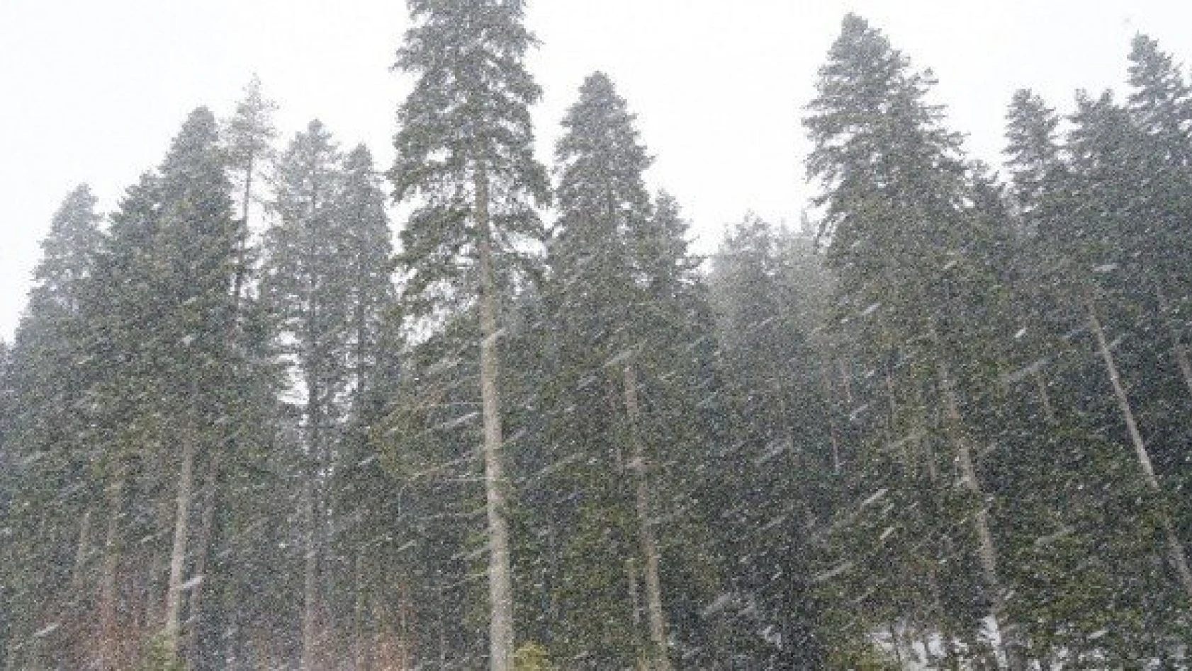Kastamonu'da kar yağışı etkili olmaya devam ediyor