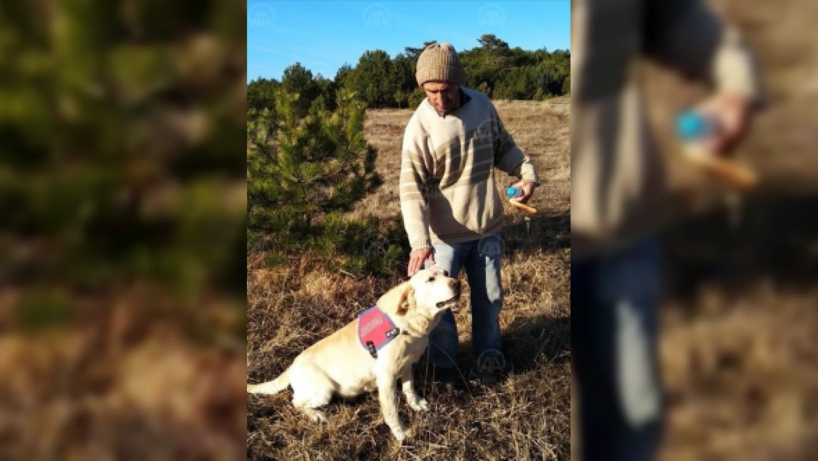 Kastamonu'da kaybolan kişiyi jandarmanın iz takip köpeği buldu