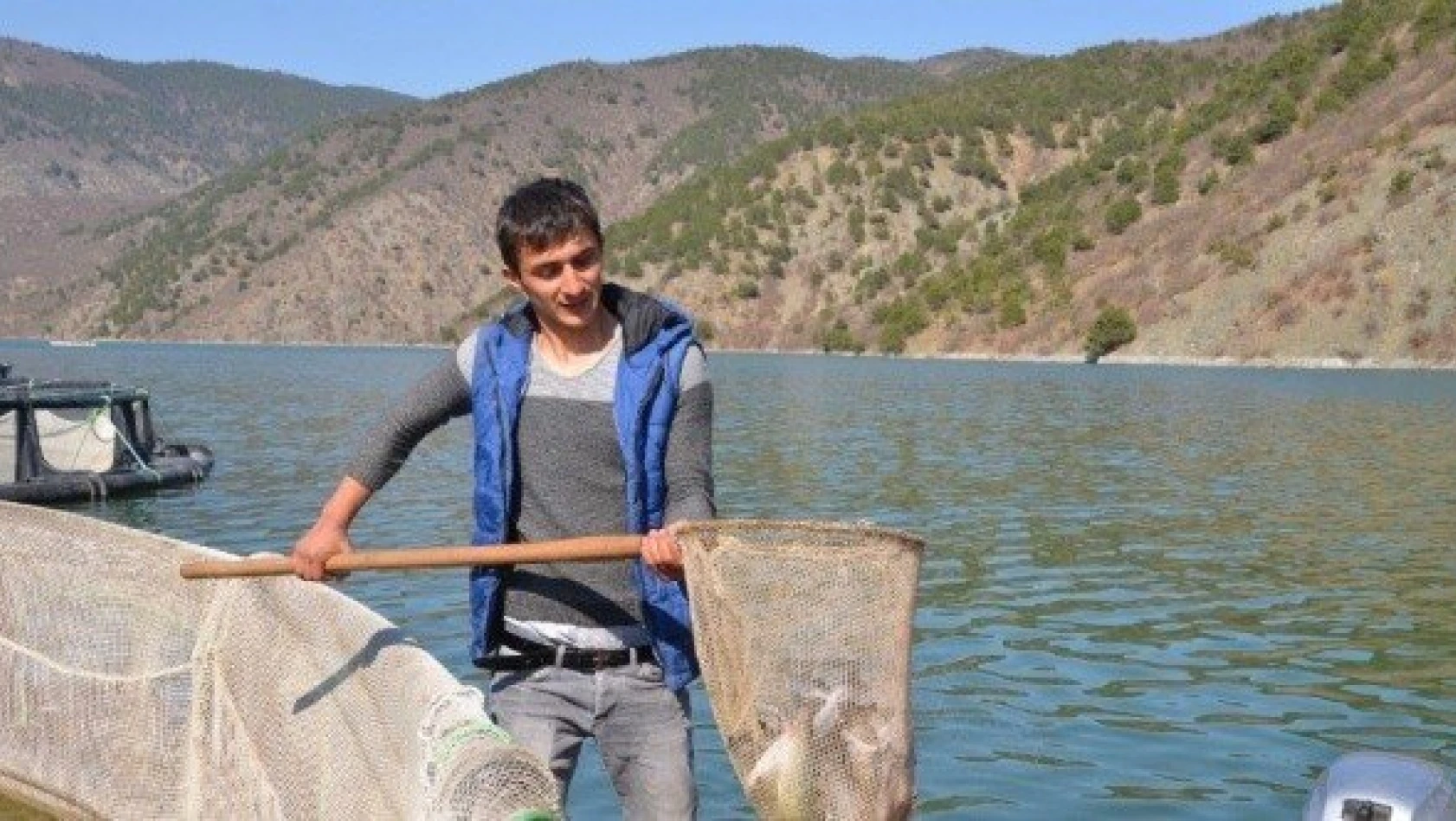 Karadere Barajında her geçen gün balık üretimi artıyor