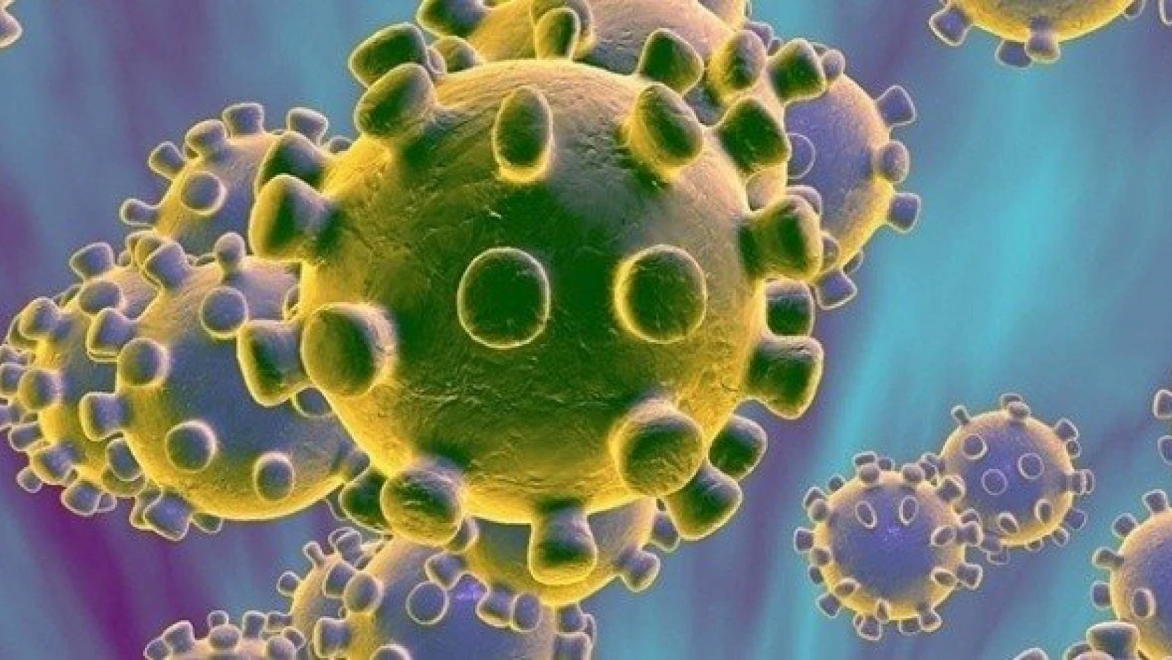 Sağlık Bakanlığı açıkladı! Koronavirüsle mücadelede yeni adım