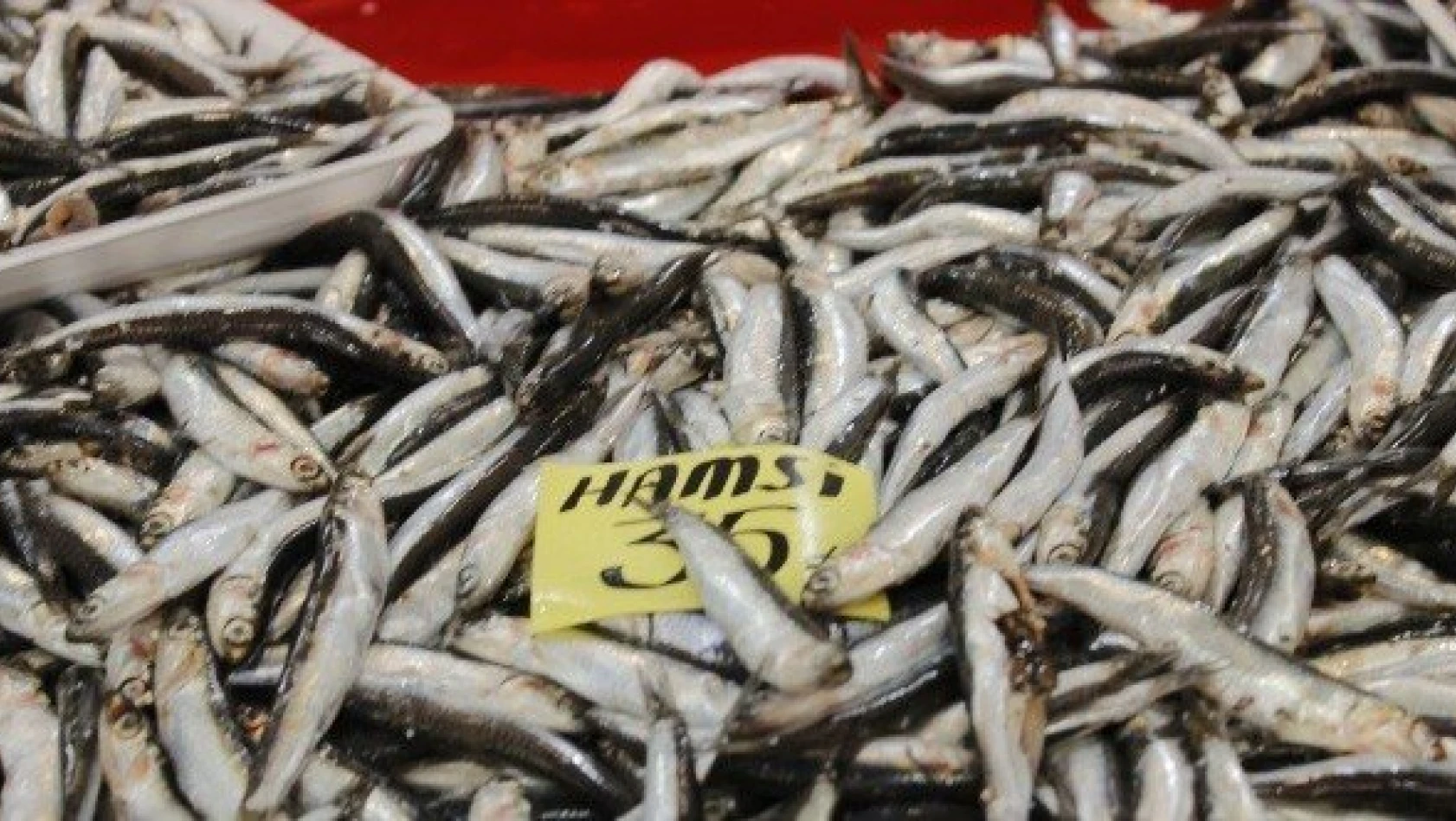 Uzmanlardan akciğer sağlığı için 'balık tüketin' önerisi