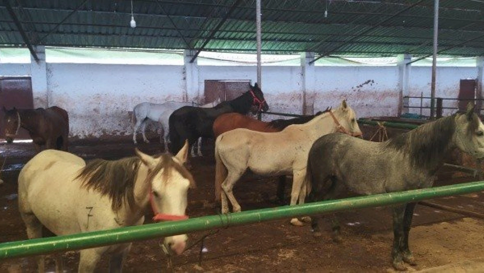 20 at Kastamonu'daki turizm tesislerine ücretsiz verildi