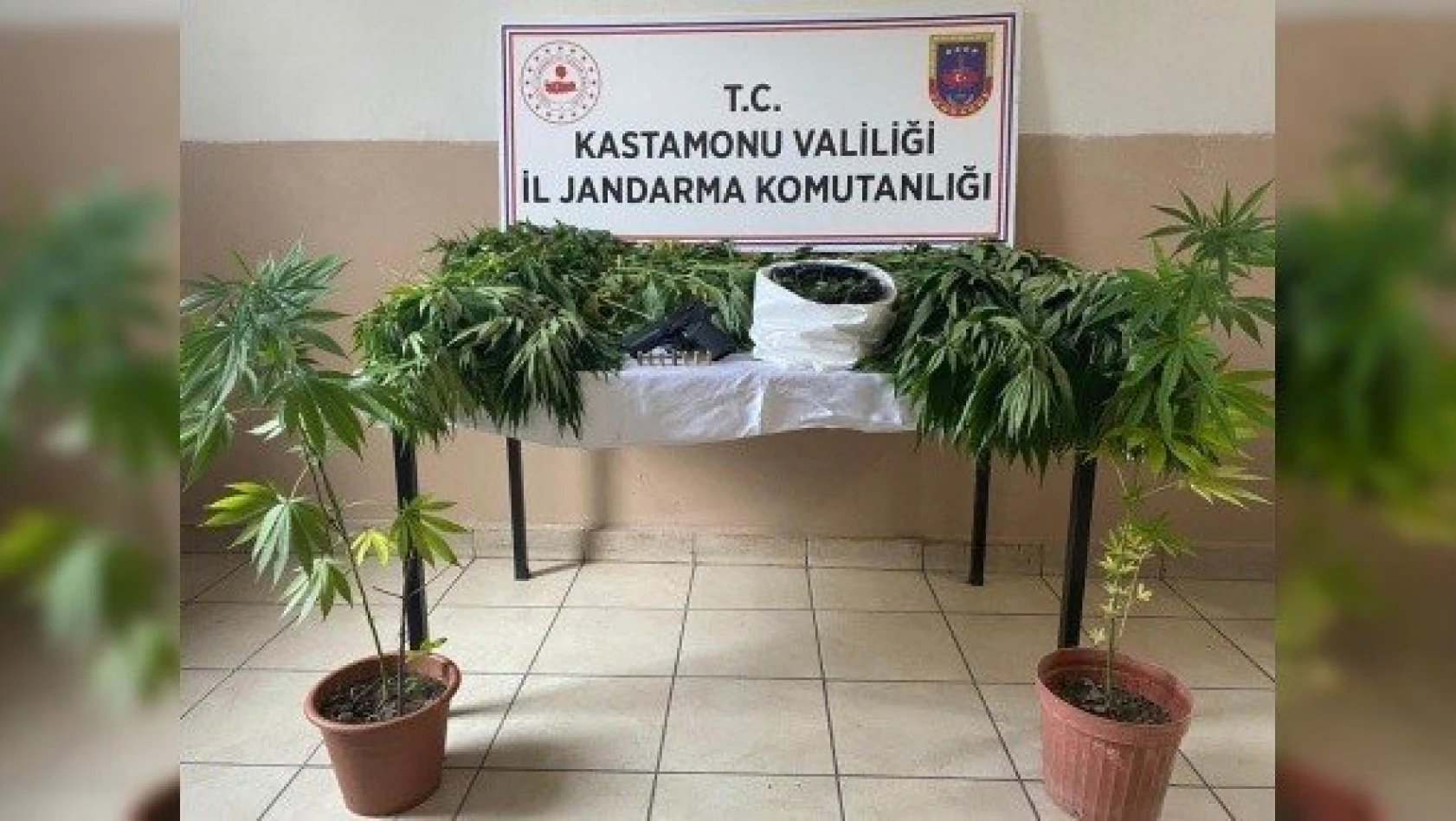 Kastamonu'daki uyuşturucu operasyonlarında 3 kişi yakalandı