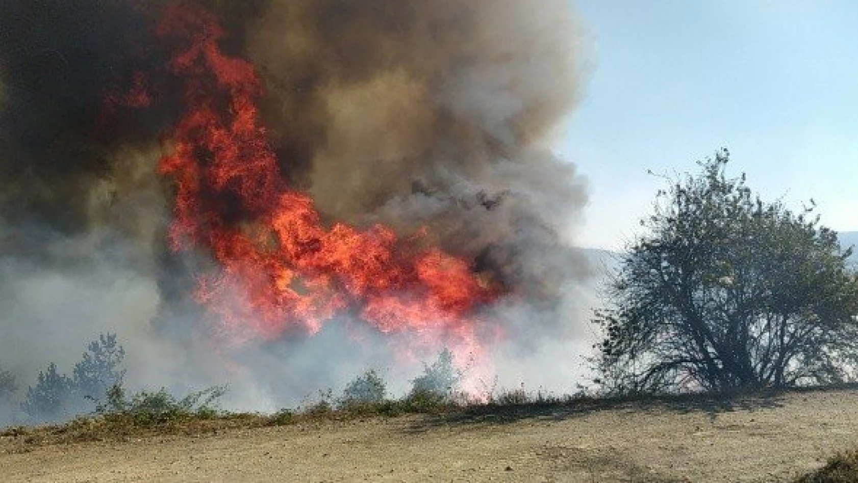 Daday'da 1 hektarlık ormanlık alan yangında zarar gördü