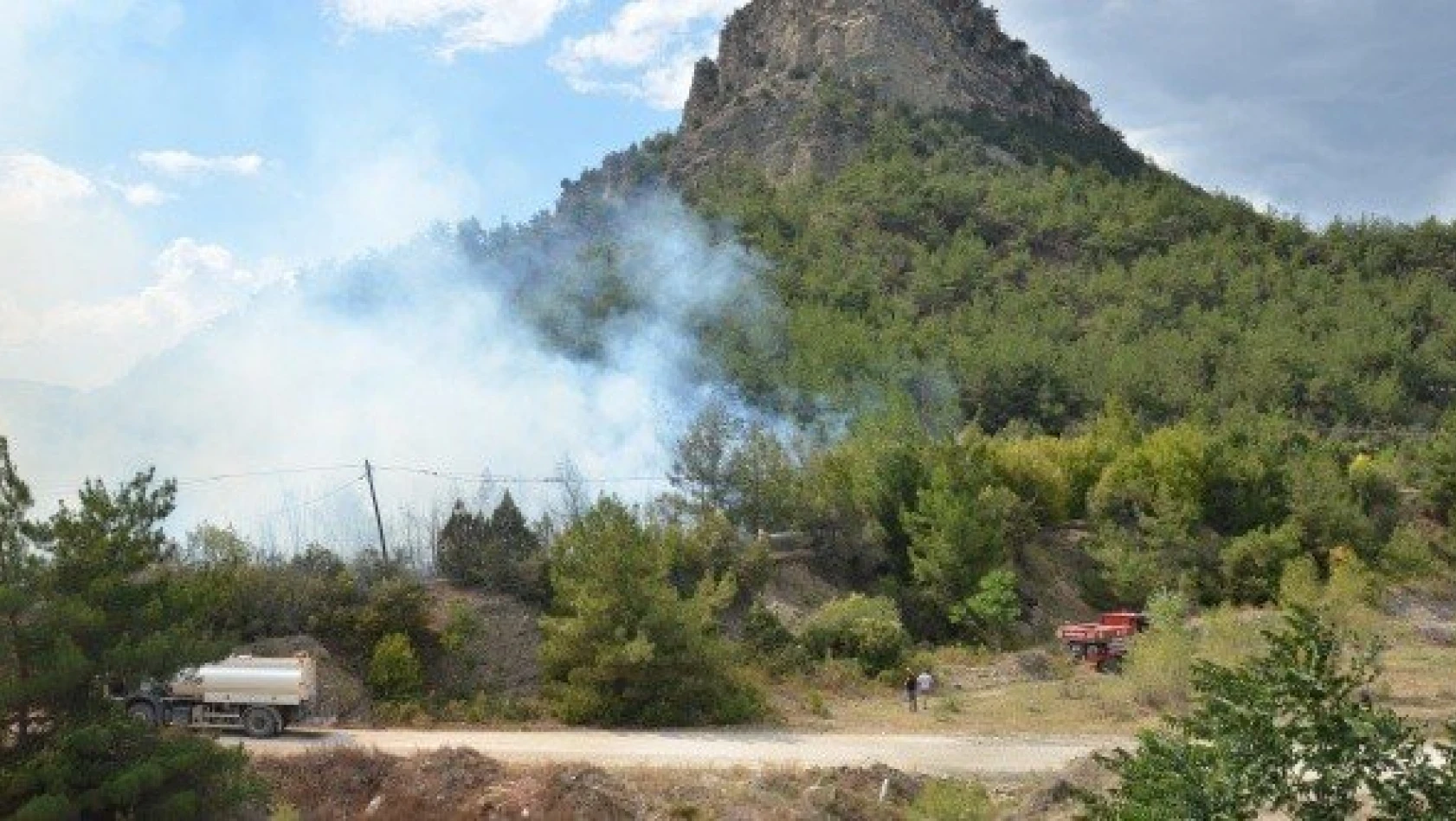 Kastamonu'da örtü yangını kontrol altına alındı