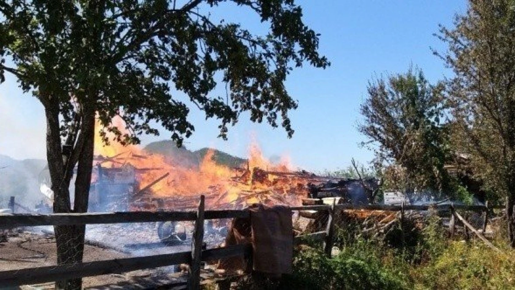 Kastamonu'da yangın: 3 hayvan telef oldu