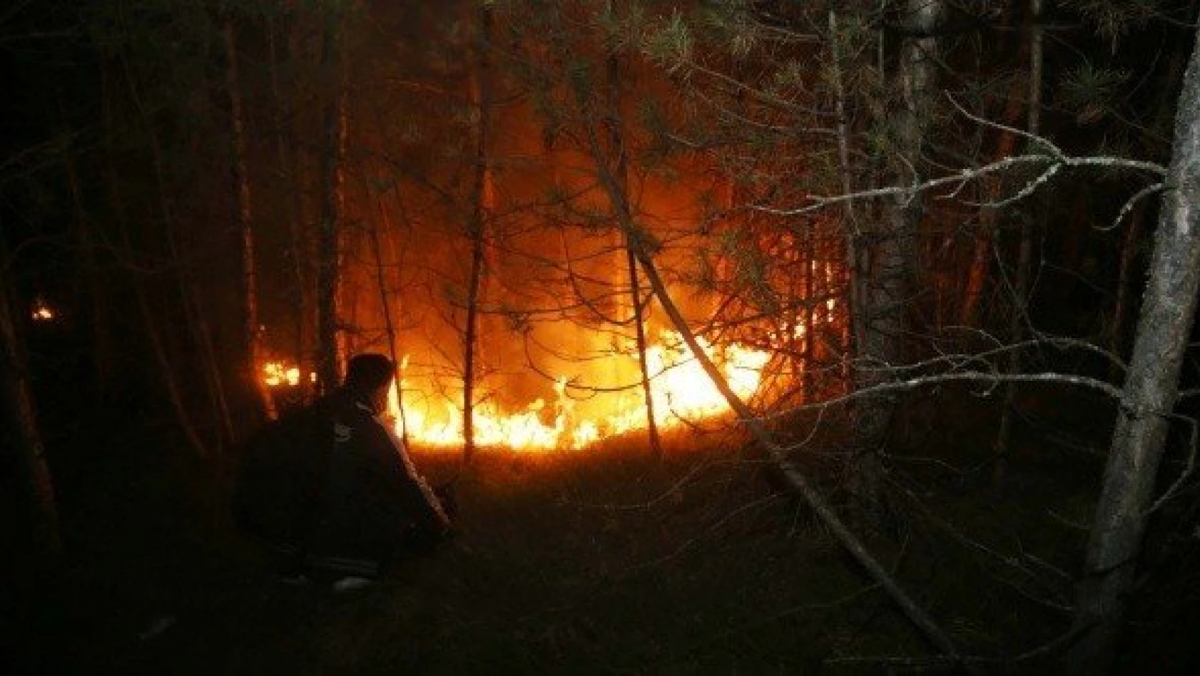Taşköprü'de ormanlık alanda çıkan yangın kontrol altına alındı