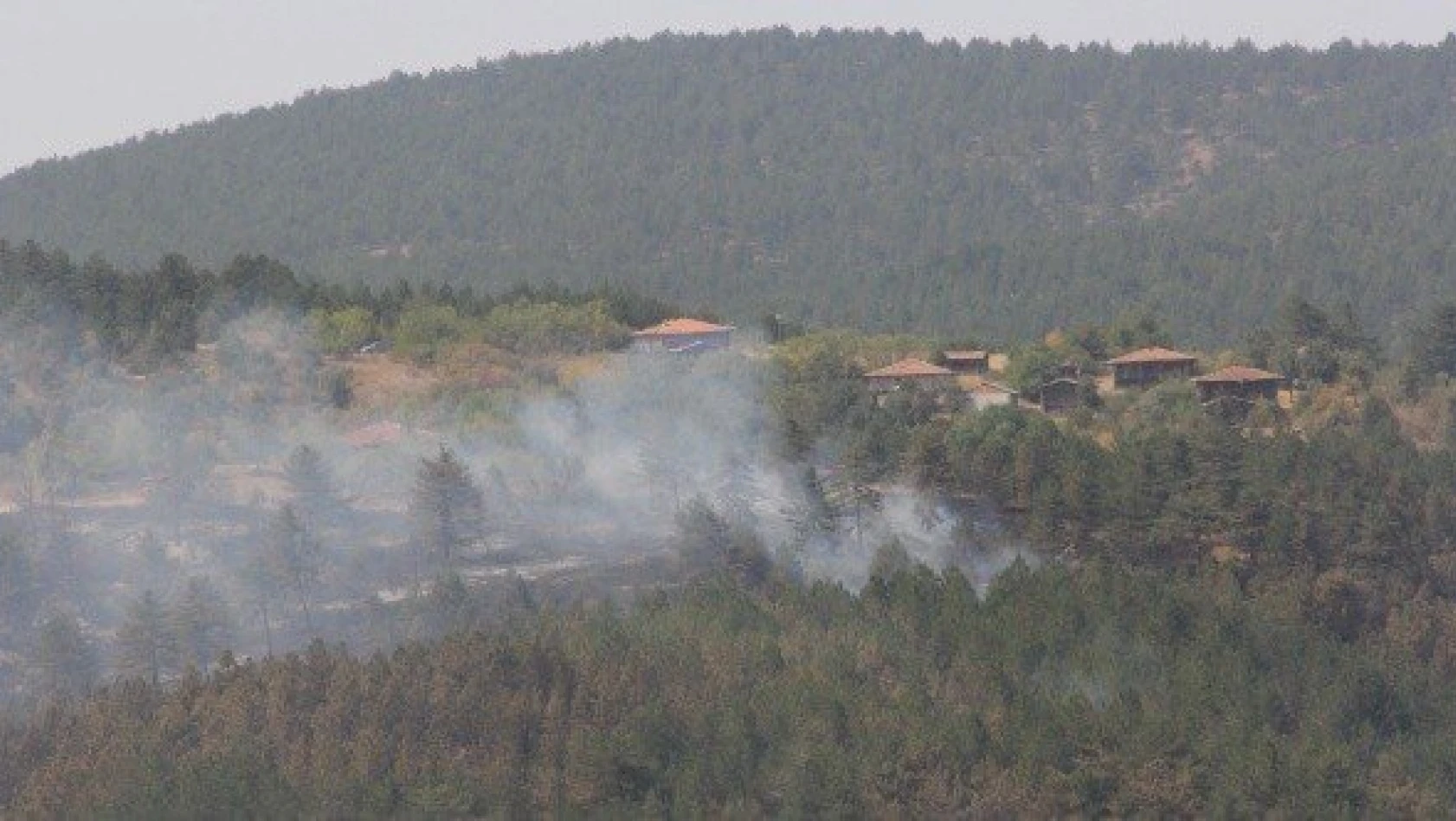 Taşköprü'deki orman yangını kontrol altına alındı