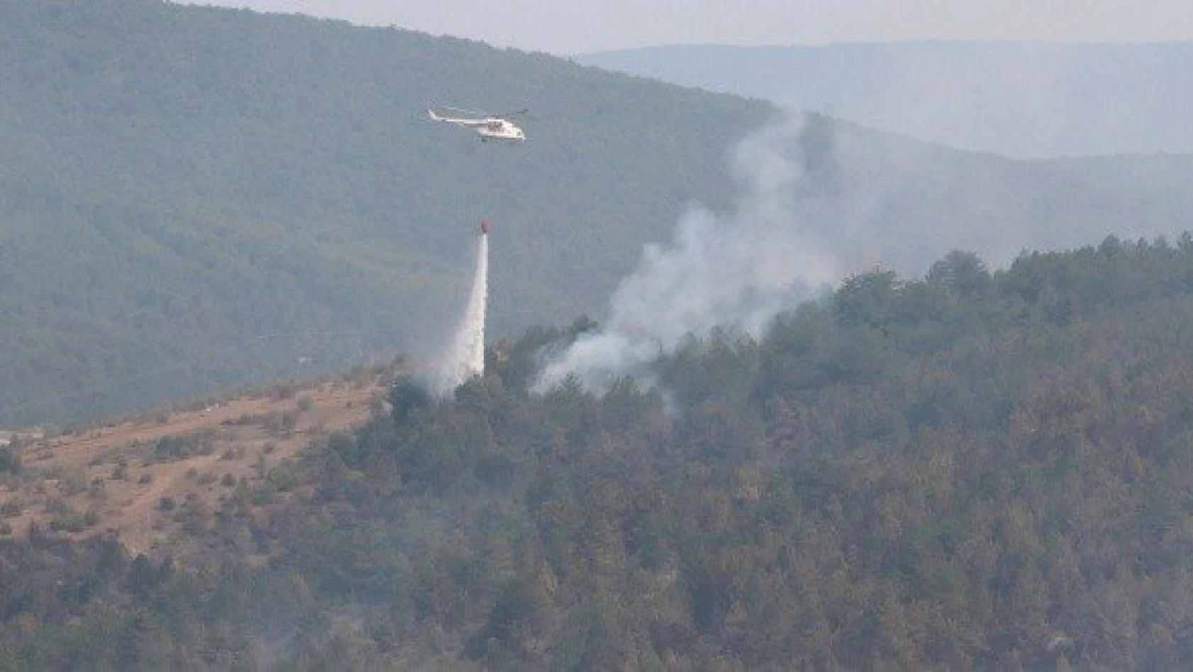 Taşköprü'deki orman yangınına müdahale sürüyor