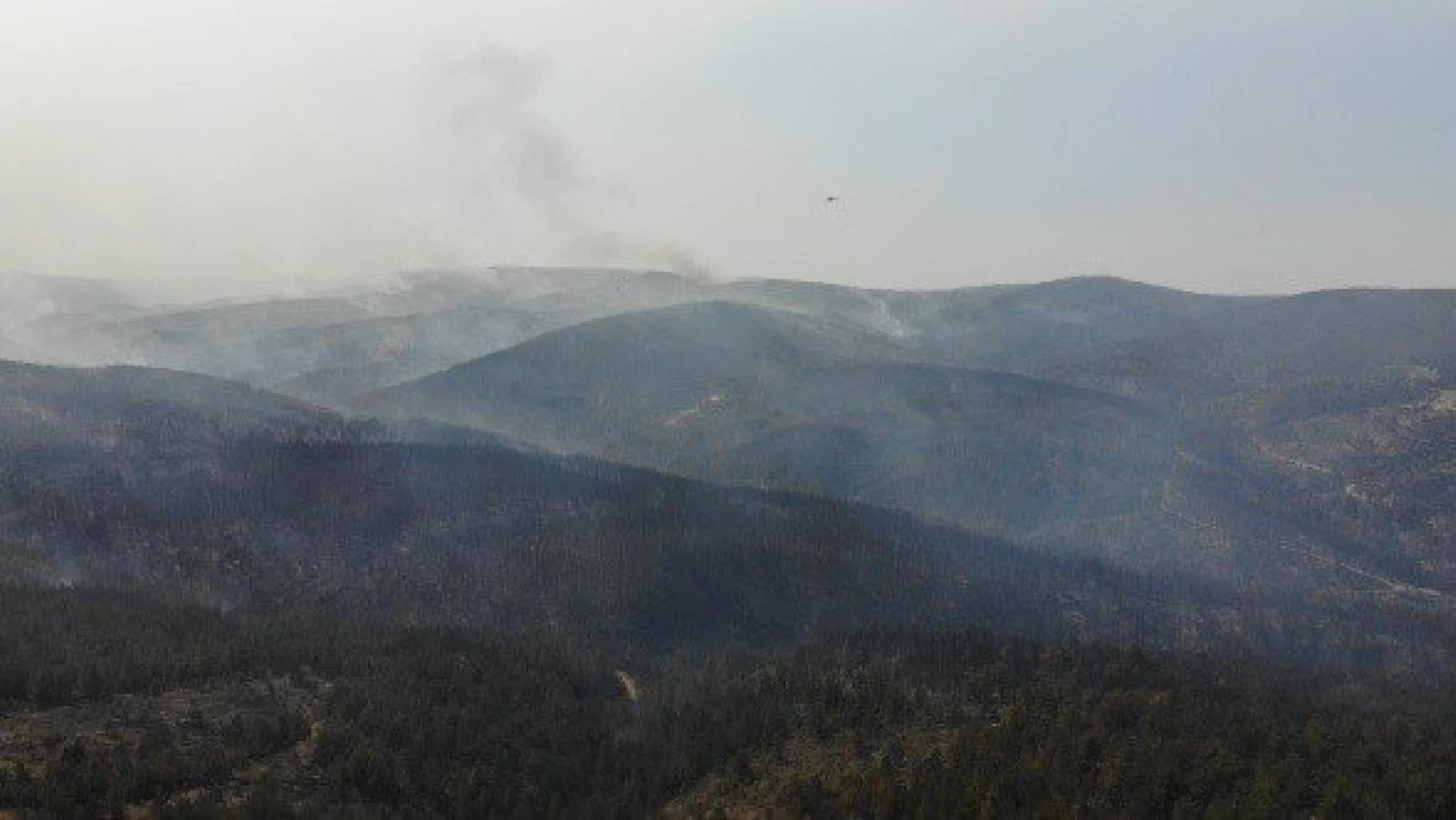 Taşköprü'deki orman yangınını söndürme çalışmaları sürüyor
