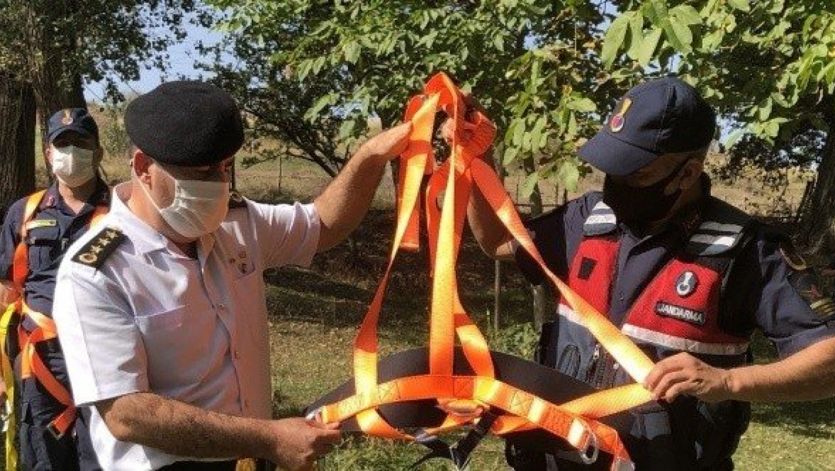 3 yılda 20 kişi ağaçtan düştü! Jandarma önlem projesi geliştirdi