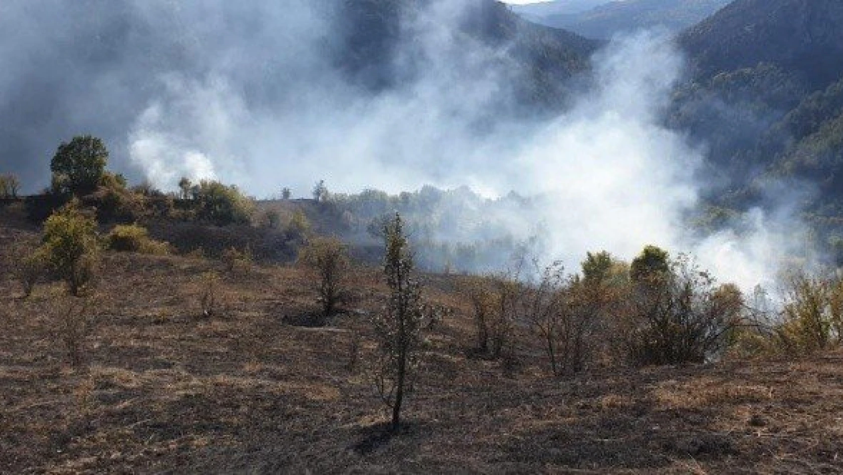 Devrekani'de yangında 2 hektar ormanlık alan zarar gördü