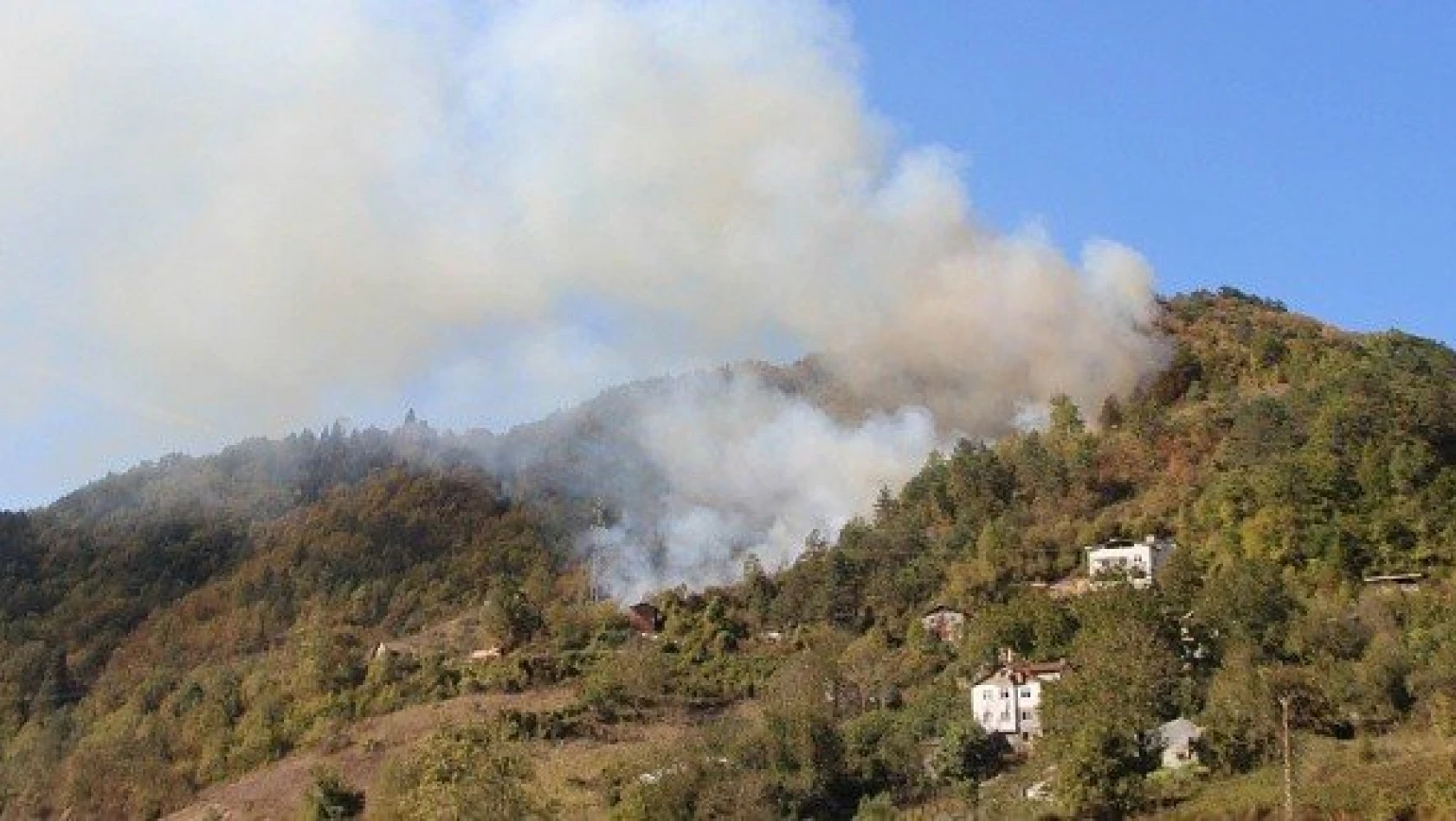 İnebolu'da yangın sonucu ormanlık alan zarar gördü