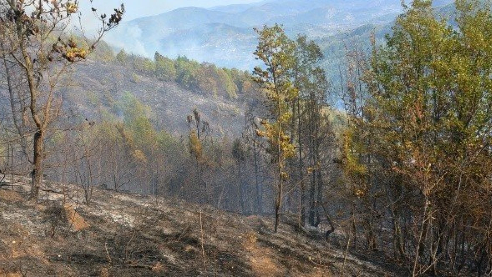 İnebolu'da çıkan orman yangınına müdahale ediliyor