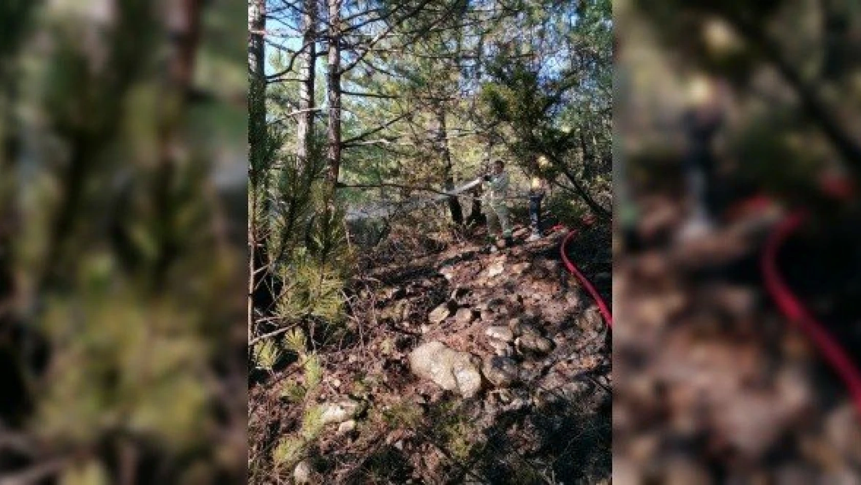 Kastamonu'daki orman yangınında 2 hektar alan zarar gördü