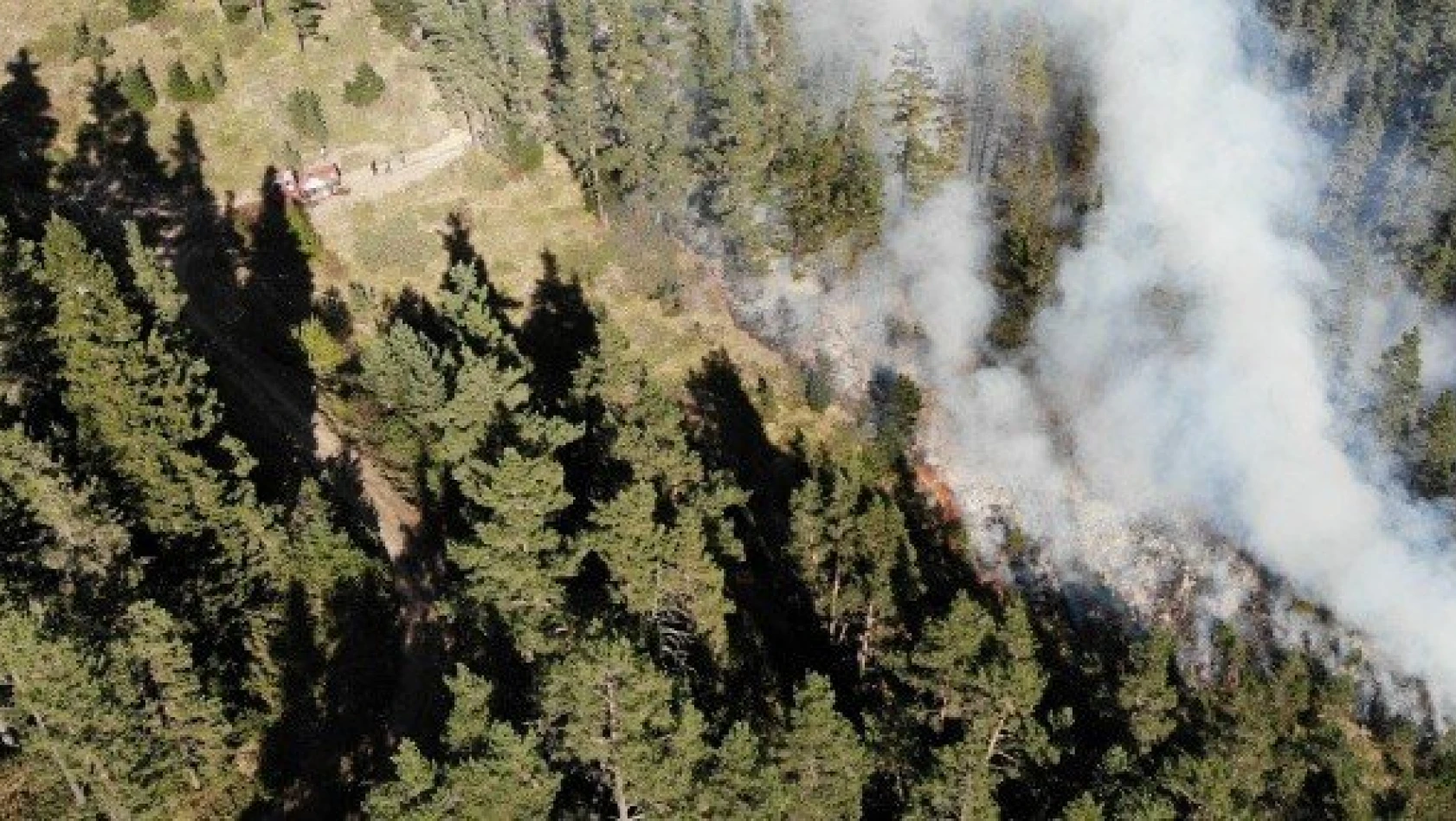 Kastamonu'daki ormanlık alanda yeniden yangın çıktı