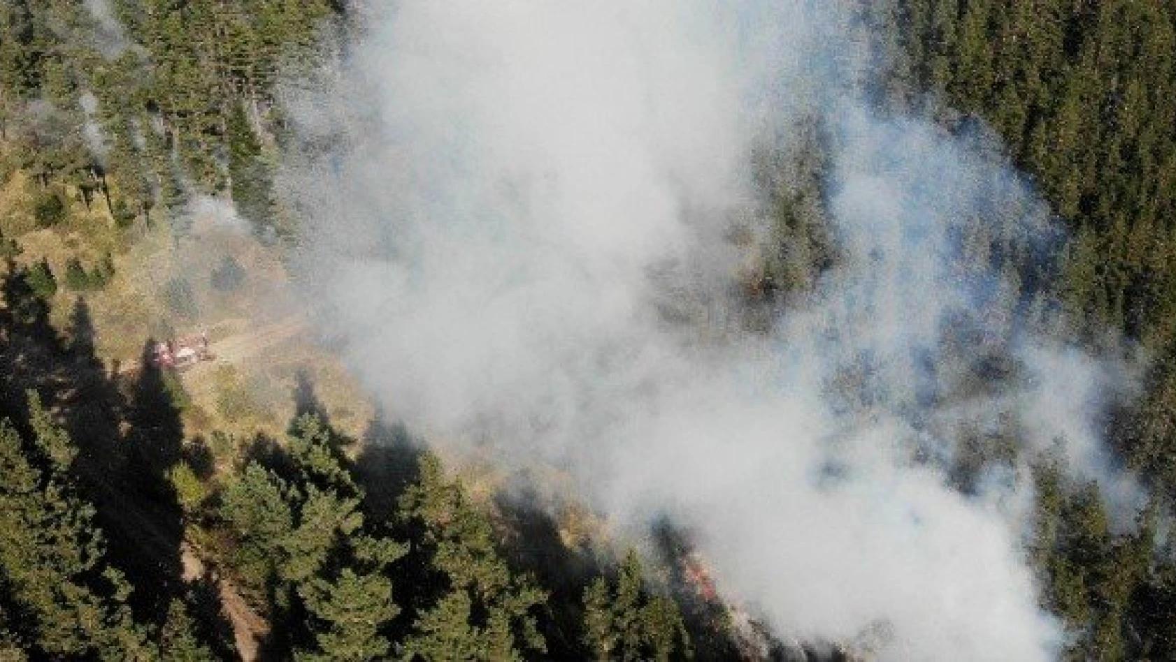 Kastamonu'daki ormanlar 4 gündür yanıyor