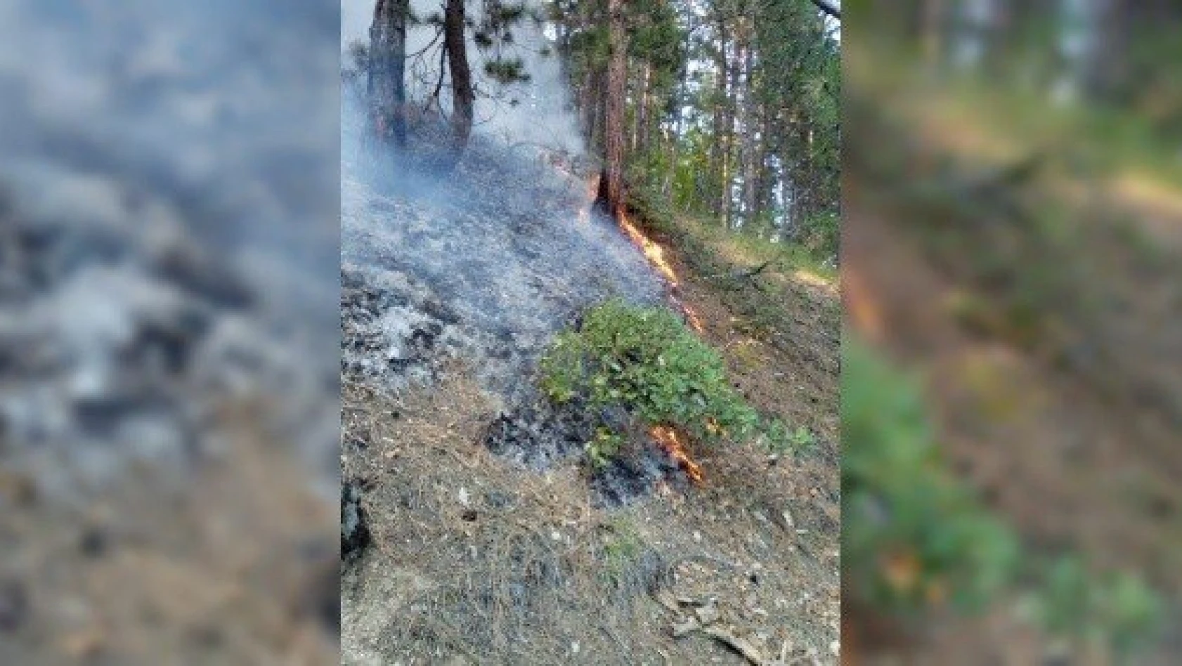 Yıldırım düşmesi sonucu çıkan yangında 1 hektar alan zarar gördü
