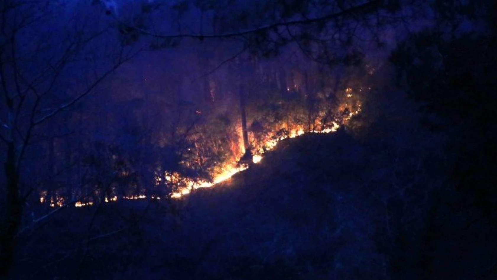Abana'da orman yangını mahalleye sıçradı