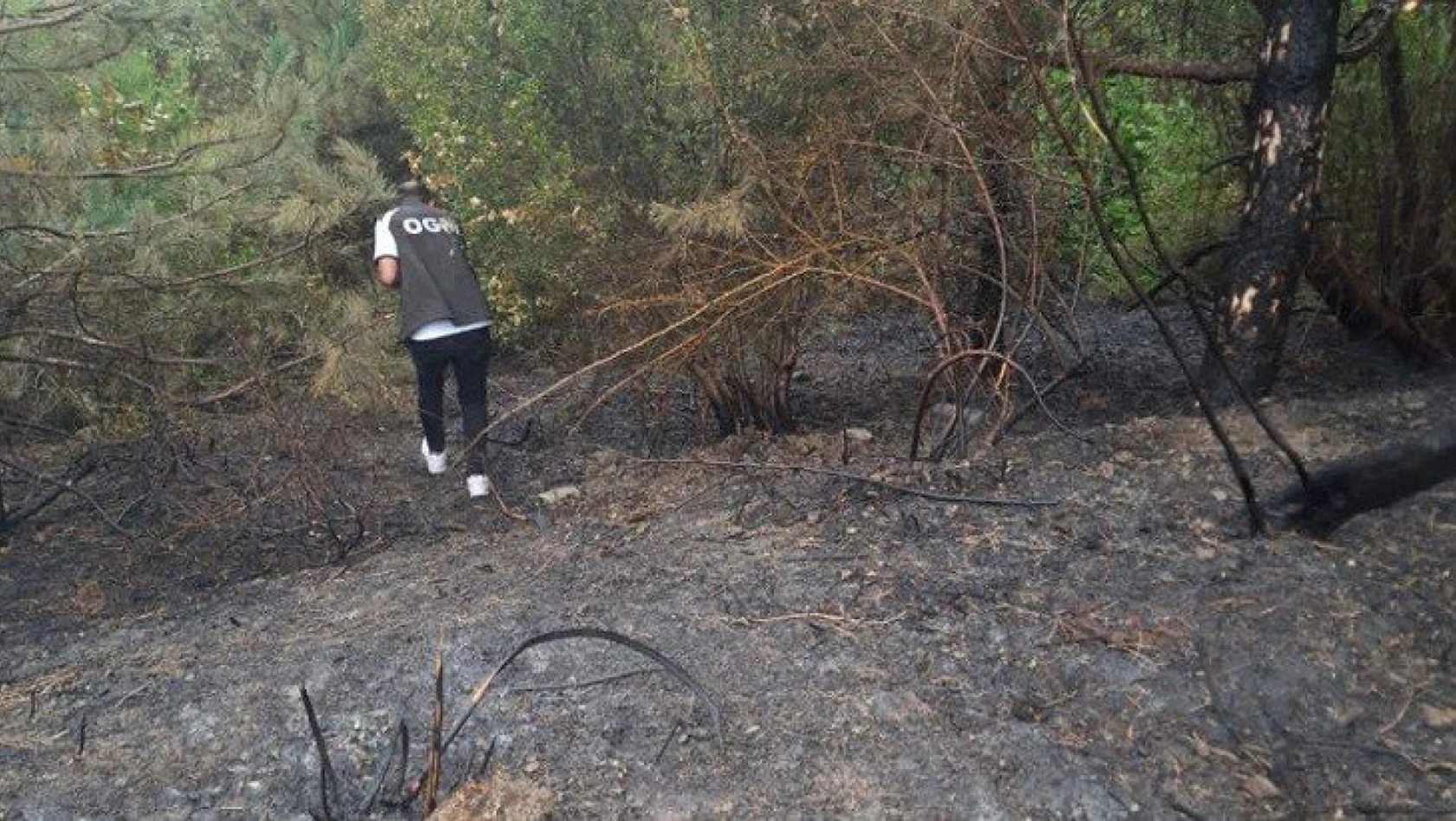 Abana'da ormanlık alanda çıkan yangın söndürüldü