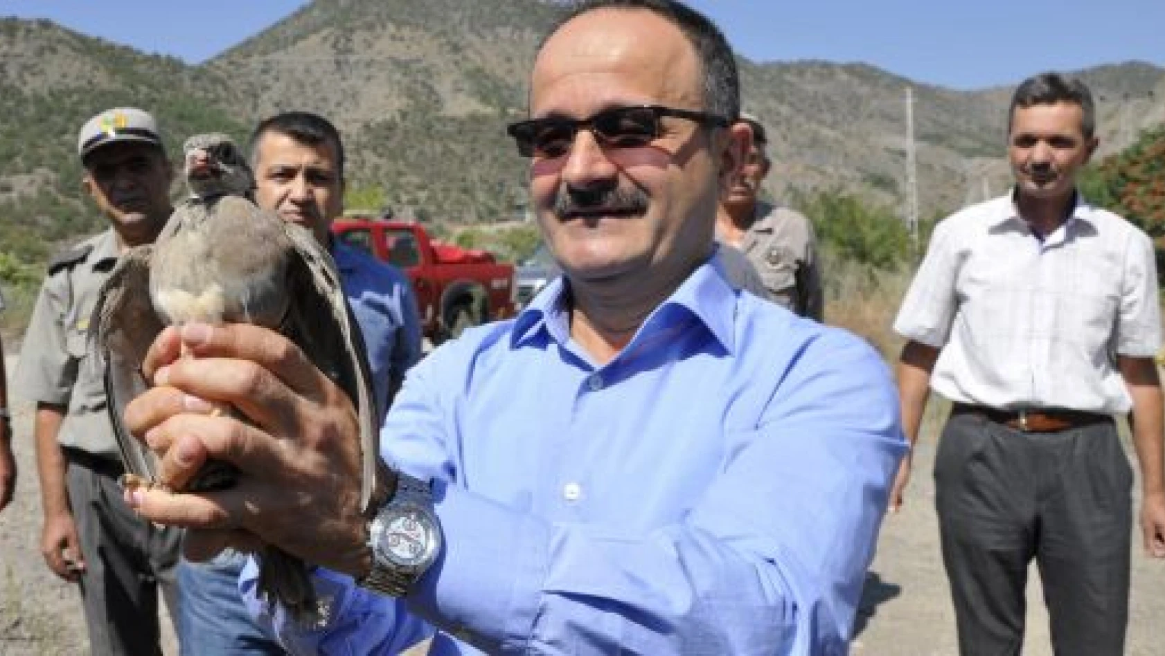 Amasya'da doğaya 700 adet keklik bırakıldı
