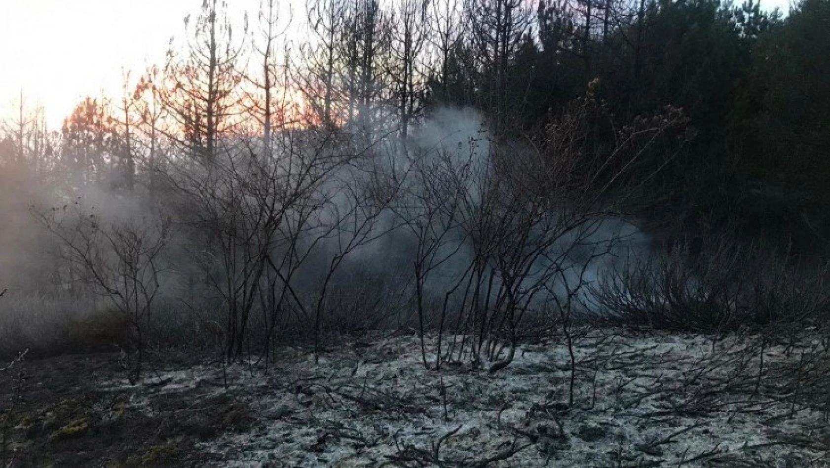 Araç'taki orman yangınında soğutma çalışmaları tamamlandı