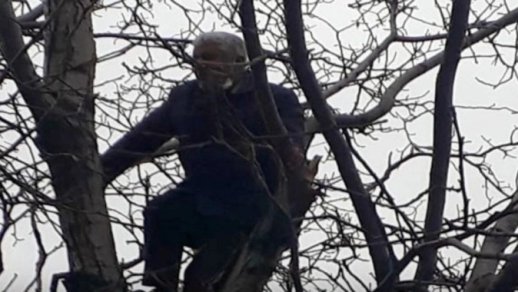 60 bin lira para cezası uygulanan şahıs intihar için ağaca çıktı