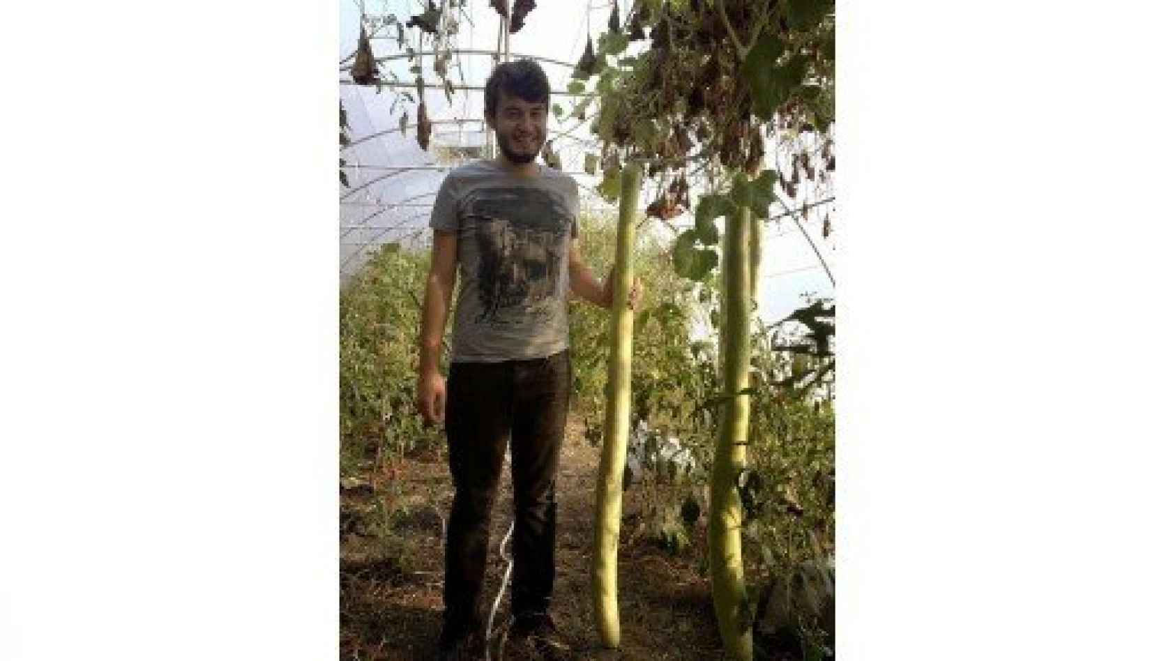 Bahçesinde 2 Metre Boyunda Kabak Yetiştirdi
