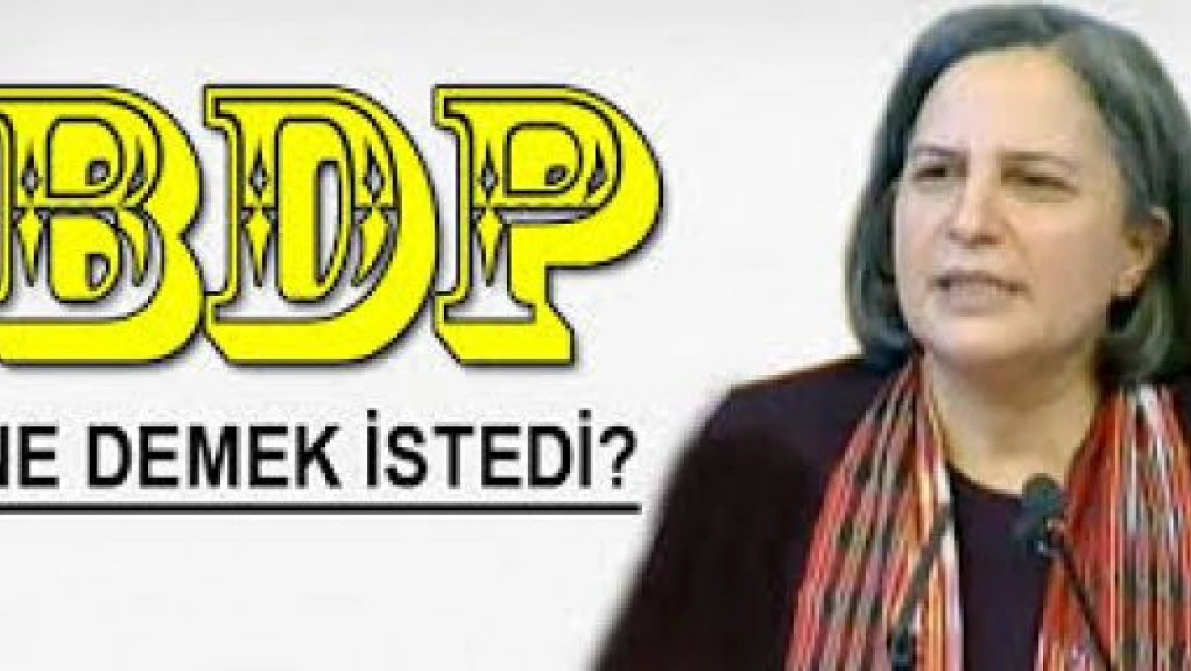 BDP'nin ana talebi teröristbaşı Abdullah Öcalan'ın özgürlüğü